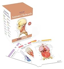 Anatomy flashcards 300 for sale  Delivered anywhere in USA 