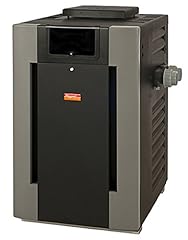 Raypak 009216 digital for sale  Delivered anywhere in USA 