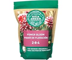 Hollandbasics power bloom for sale  Delivered anywhere in USA 