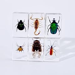 Supkeyer 4pcs insect for sale  Delivered anywhere in UK