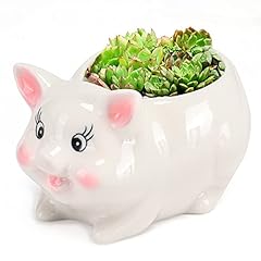 Jiaen cute planter for sale  Delivered anywhere in USA 