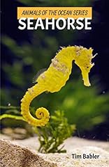 Animals ocean seahorse for sale  Delivered anywhere in USA 
