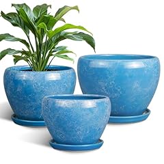 Epfamily ceramic plant for sale  Delivered anywhere in USA 