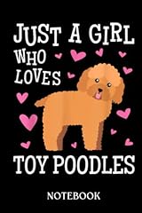 Toy poodle girls for sale  Delivered anywhere in UK