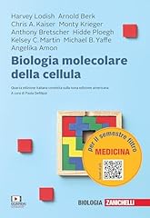 Biologia molecolare della usato  Spedito ovunque in Italia 