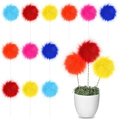 Bucherry pcs pom for sale  Delivered anywhere in USA 