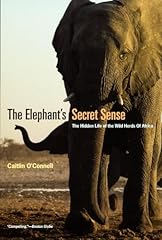 Elephant secret sense for sale  Delivered anywhere in USA 