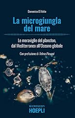 Microgiungla del mare. usato  Spedito ovunque in Italia 