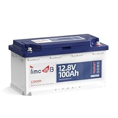 Timeusb lithium batterie gebraucht kaufen  Wird an jeden Ort in Deutschland