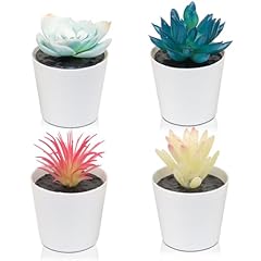 Uguisu colourful potted for sale  Delivered anywhere in USA 