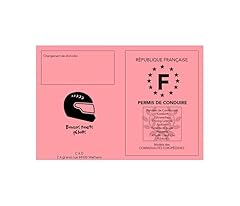Générique faux permis d'occasion  Livré partout en France