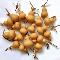 Rvkxhd gourd seeds for sale  Delivered anywhere in USA 