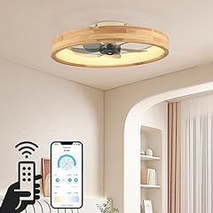 Weninestar ceiling fan for sale  Delivered anywhere in USA 