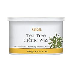 Gigi tea tree for sale  Delivered anywhere in Ireland