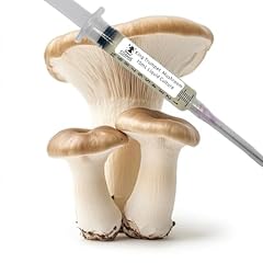 King trumpet mushroom for sale  Delivered anywhere in USA 