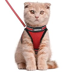 chatons ragdoll pedigree d'occasion  Livré partout en France
