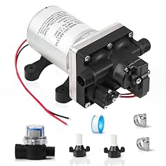 12v water pump for sale  Delivered anywhere in USA 