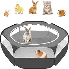 Amakunft guinea pig for sale  Delivered anywhere in USA 