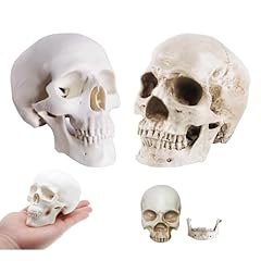 Pack mini skulls for sale  Delivered anywhere in USA 