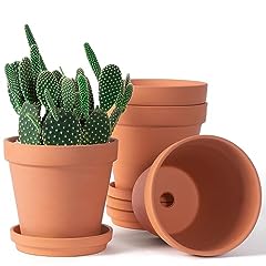 Inch terracotta clay for sale  Delivered anywhere in USA 