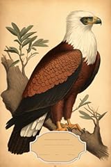 African fish eagle for sale  Delivered anywhere in UK