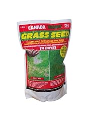 Canada green 3604 for sale  Delivered anywhere in UK