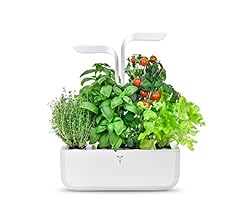Potager véritable classic d'occasion  Livré partout en France