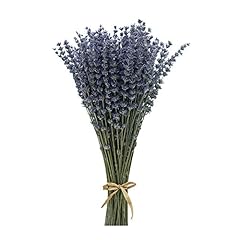 Coolcrafts lavanda essiccata usato  Spedito ovunque in Italia 