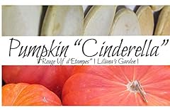 Pumpkin seeds cinderella for sale  Delivered anywhere in USA 