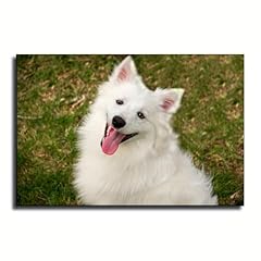 Closeup white american for sale  Delivered anywhere in USA 