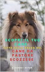 Scopri tuo cane usato  Spedito ovunque in Italia 