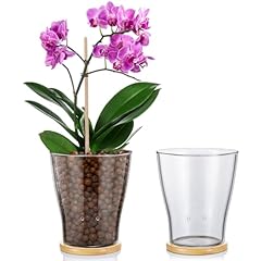 Baderke glass orchid for sale  Delivered anywhere in USA 