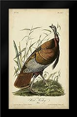 Audubon wild turkey for sale  Delivered anywhere in USA 