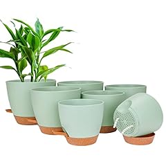 Csyy plant pots for sale  Delivered anywhere in UK