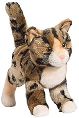 Douglas tashette bengal for sale  Delivered anywhere in USA 