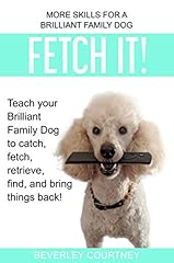 Fetch teach brilliant for sale  Delivered anywhere in USA 