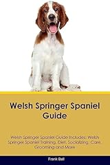 Welsh springer spaniel for sale  Delivered anywhere in UK