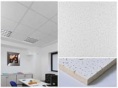 Pannelli controsoffitto 600 usato  Spedito ovunque in Italia 