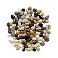 Rocks plants lbs for sale  Delivered anywhere in USA 