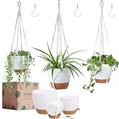 Bouqlife set hanging for sale  Delivered anywhere in USA 