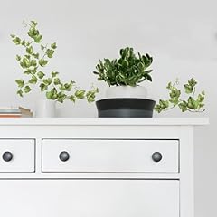 Roommates rmk1219scs evergreen for sale  Delivered anywhere in USA 
