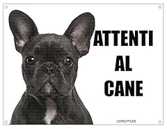 Bulldog francese attenti usato  Spedito ovunque in Italia 