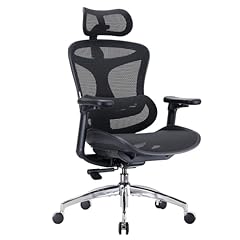 Sihoo doro c300 gebraucht kaufen  Wird an jeden Ort in Deutschland