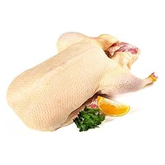 Ente flugente bauernente gebraucht kaufen  Wird an jeden Ort in Deutschland