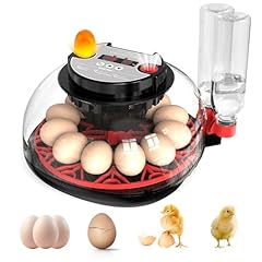 Couveuse oeuf automatique d'occasion  Livré partout en France