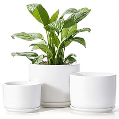 Efispss plant pots for sale  Delivered anywhere in USA 