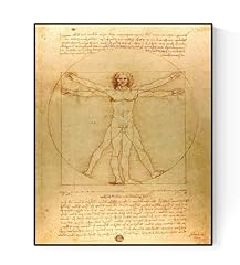 Leonardo vinci vitruvian for sale  Delivered anywhere in USA 