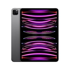 2022 apple ipad usato  Spedito ovunque in Italia 