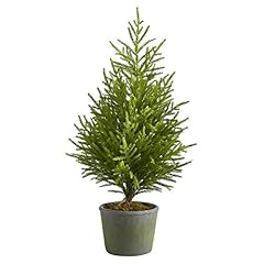 Nearly natural 3ft. for sale  Delivered anywhere in USA 