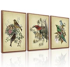 Lhiuem audubon birds for sale  Delivered anywhere in USA 